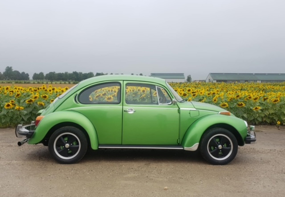1974 Super Beetle in green beside sunflowers