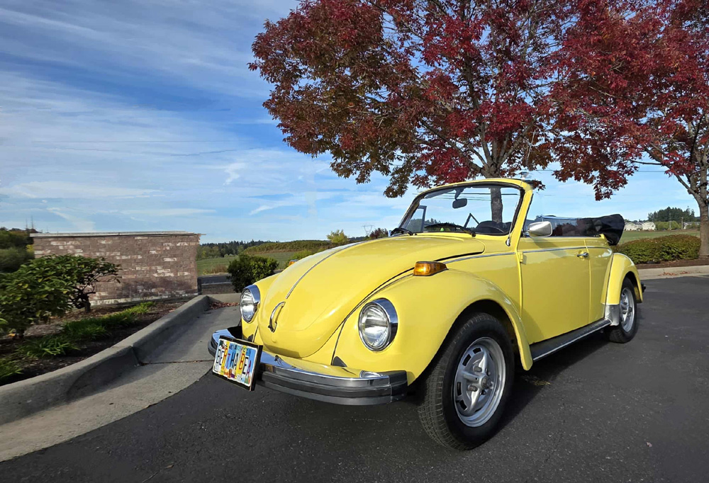 Yellow Volkswagen Super Beetle convertible 'Bertha Bea' parked under a red maple tree on a sunny day